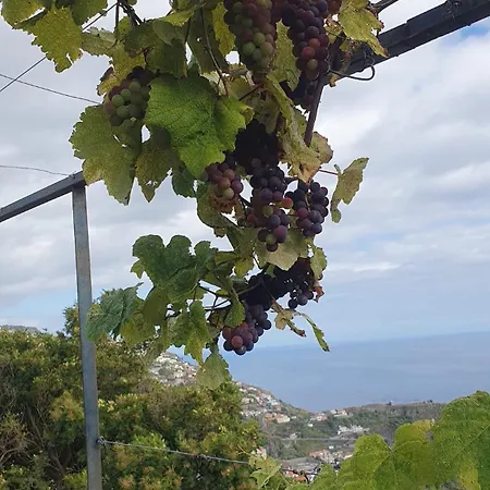Brava Atlantico Βίλα Ribeira Brava