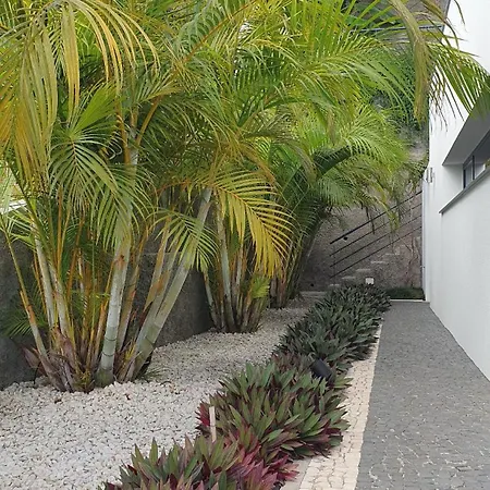 Villa Brava Atlântico *