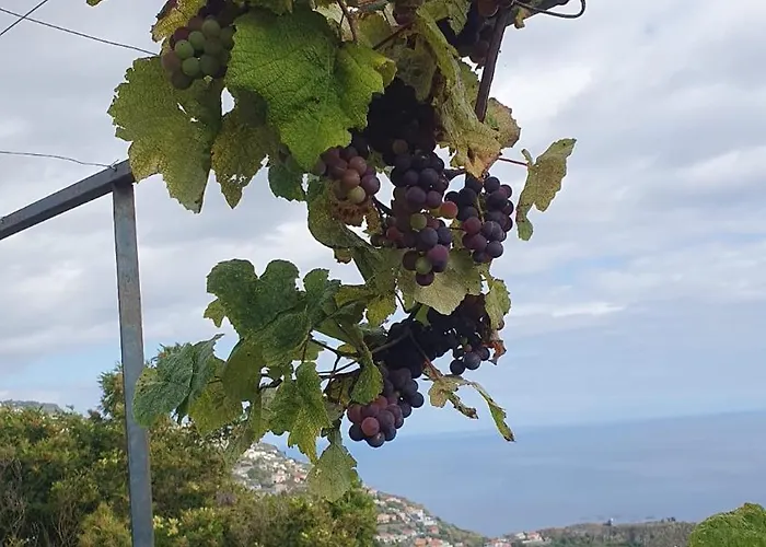 Brava Atlantico 别墅 里贝拉布拉瓦